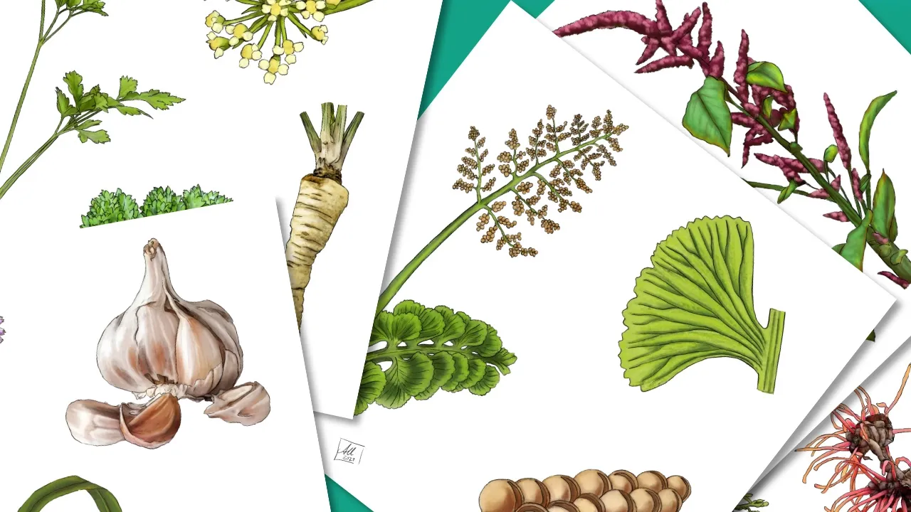 8 Life-Saving Magic Plants Every Adventurer Should Know