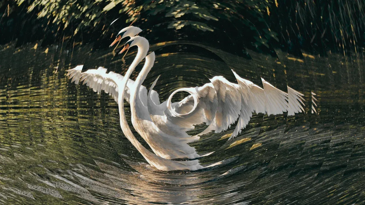 Triumphant swan with fractal rippling effect.