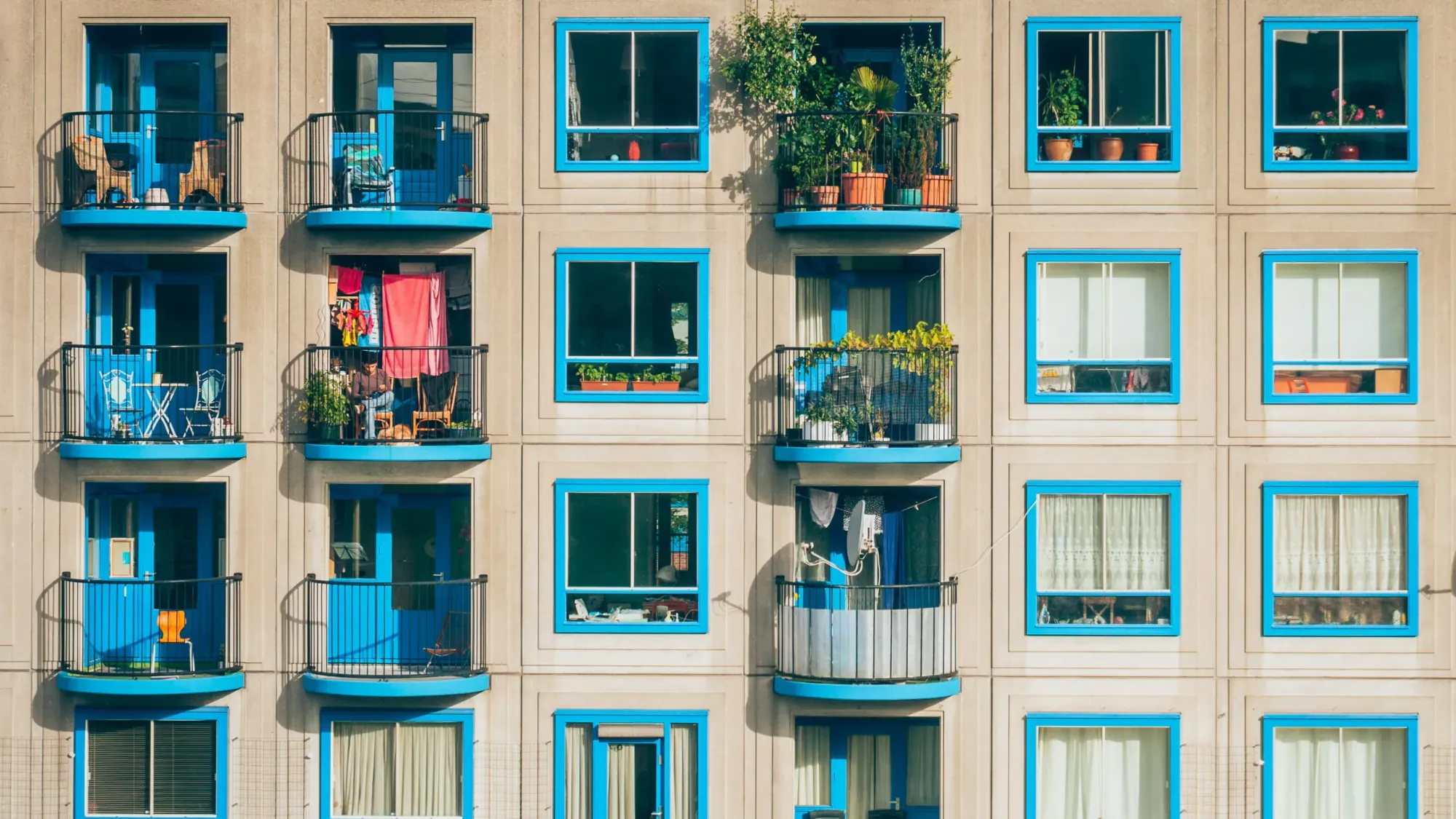 Bright cozy building with blue accents and potted plants in Amsterdam.